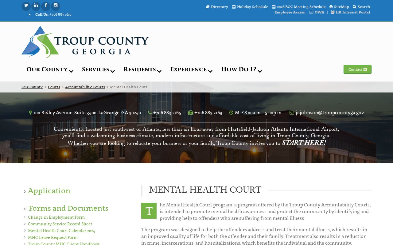 Troup County Mental Health Court criminal case program